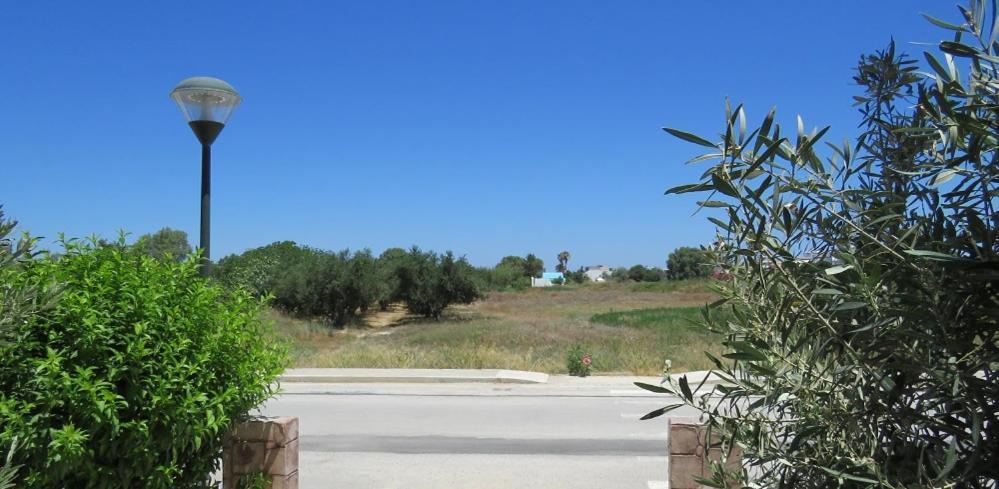 Elia Mare Apartment Mastichari  Exterior foto